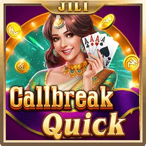 Online Poker Provider