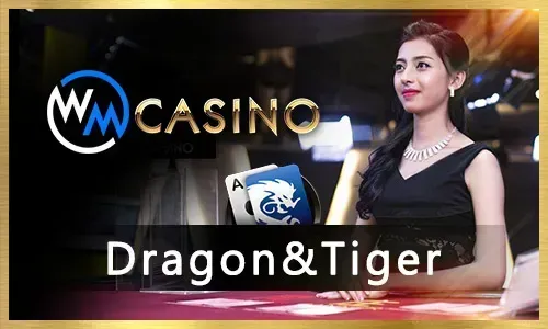 Latest promotions and bonuses at nino gaming.